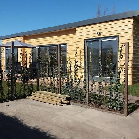 Luxe Vakantie Bungalow Met 3 Slaapkamers Dronrijp Εξωτερικό φωτογραφία